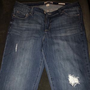 NWOT Vintage America Blues Skinny Jeans